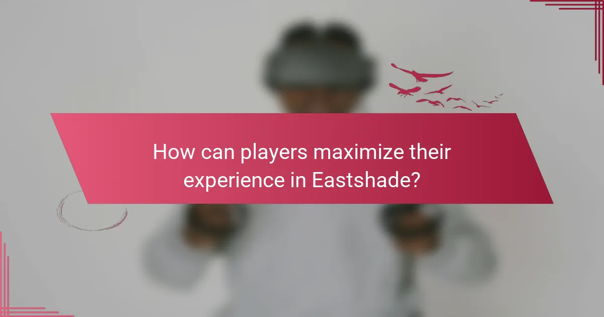 How can players maximize their experience in Eastshade?